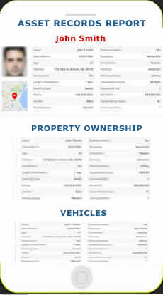 Illustration representing an assett records report