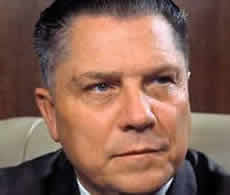 Jimmy Hoffa, Hoffa Story