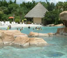 Discovery Cove In Orlando