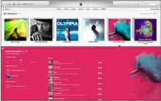 A picture of iTunes