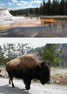 A photo of Yellowstone National Park