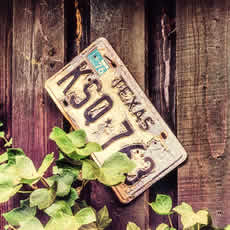 Image representing license plate lookups regulations