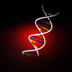 A photo of blood dna