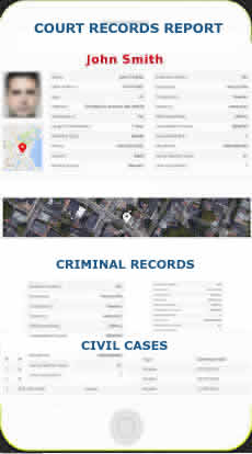 Illustration of court records report