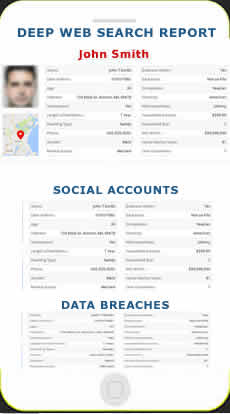 Deep web search report