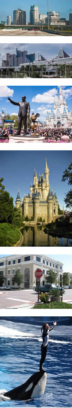 Picture - Orlando Images - Orlando
